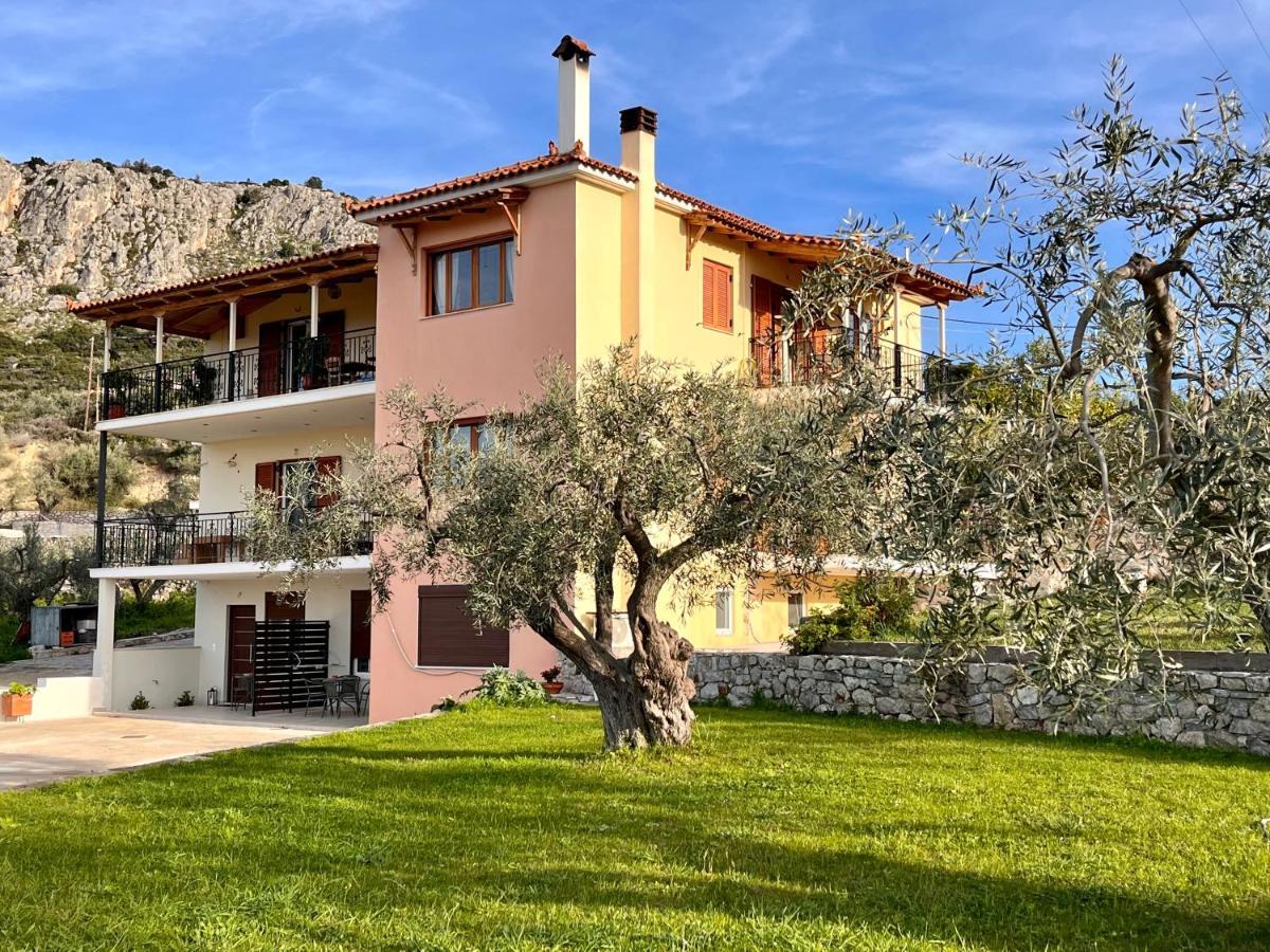 Ενtree Guest House Near Palamidi Castle Nafplio Ngoại thất bức ảnh