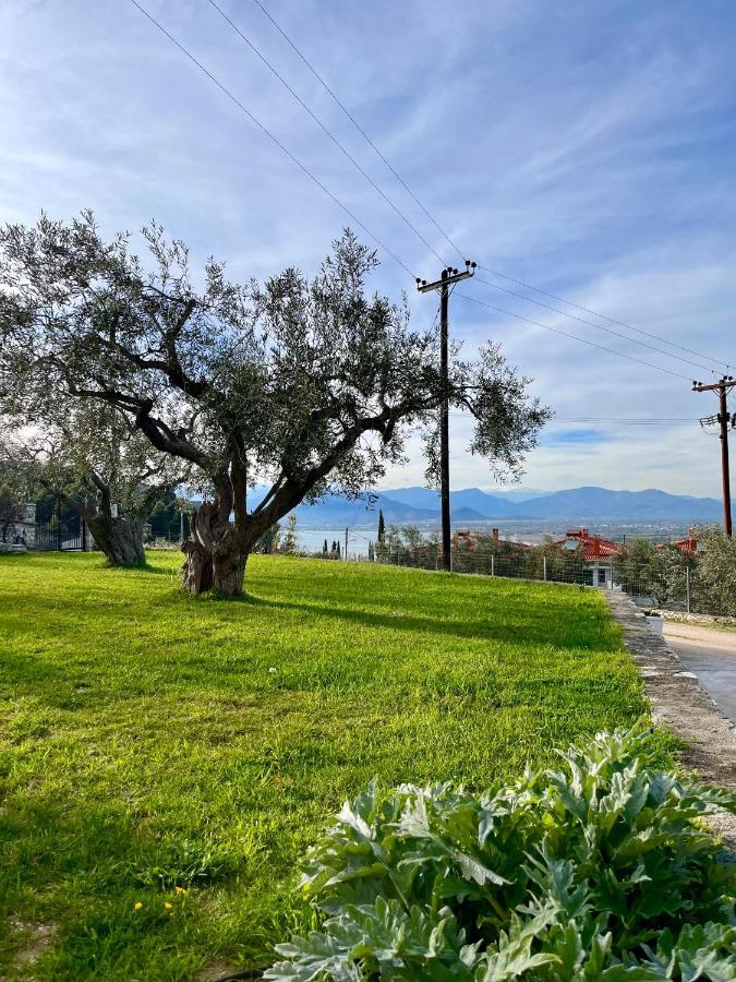 Ενtree Guest House Near Palamidi Castle Nafplio Ngoại thất bức ảnh